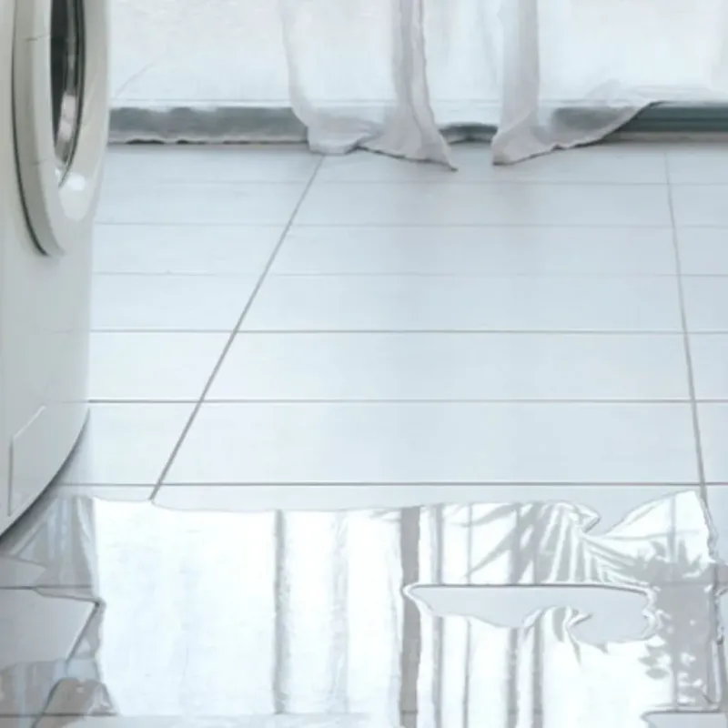 Appliance Leak Cleanup in Sachse, TX