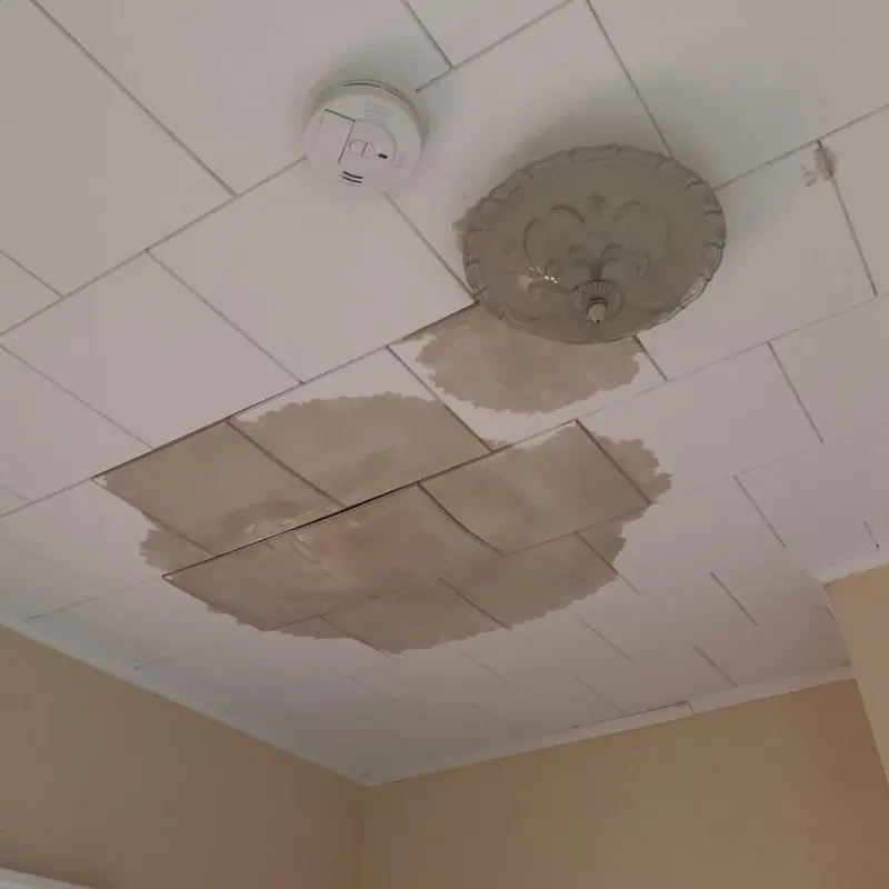 Ceiling Water Damage Repair in Sachse, TX
